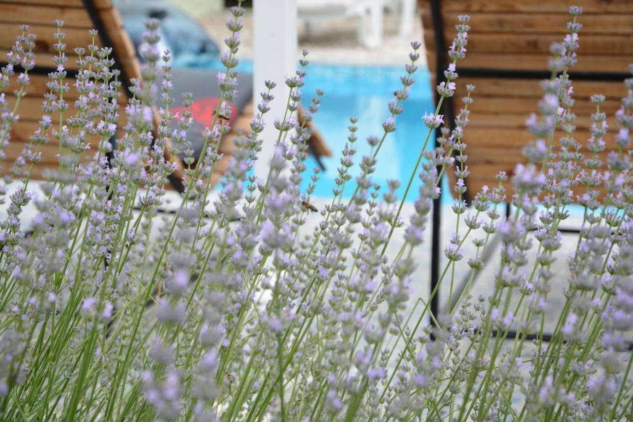 Villa Iva Kraj  Exterior foto
